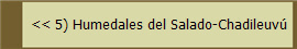 << La Cuesta del Viento