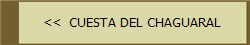 <<  CUESTA DEL CHAGUARAL