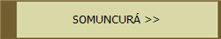 SOMUNCUR >>